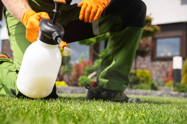 Best Wasp Removal Services  in St George, MO