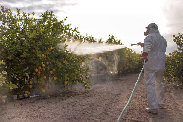 Best Pest Control Near Me in St George, MO