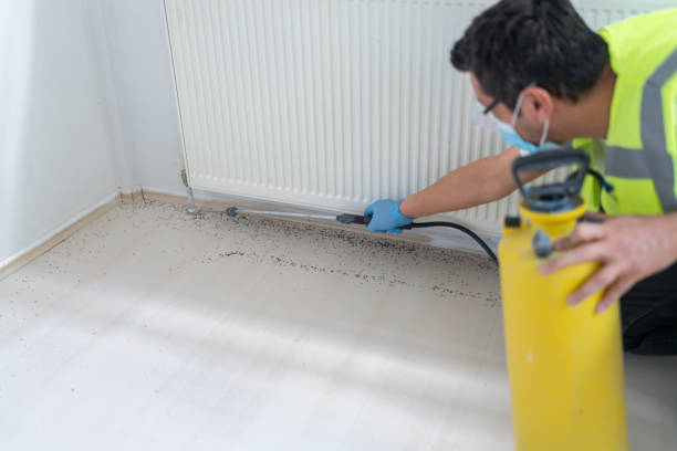Professional Pest Control in St George, MO